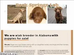 Sites similar to rockspringslab.com