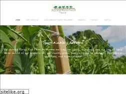 Sites similar to rockyrunfarmnc.com