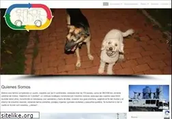 Sites similar to rodandoando.com