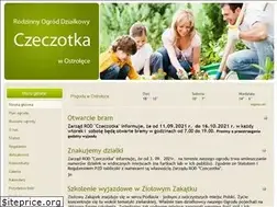 Sites similar to rodczeczotka.pl