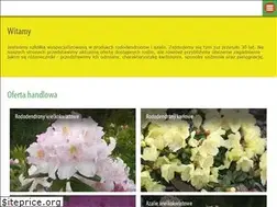 Sites similar to rododendrony.com.pl