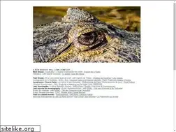 Sites similar to rodolphe-alexis.info
