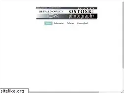 Sites similar to rodostoski.com