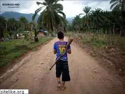 Sites similar to rodrigoabd.com