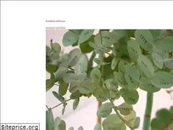 Sites similar to rodrigoarteaga.com