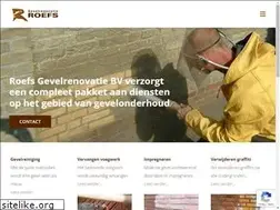 Sites similar to roefsgevelrenovatie.nl