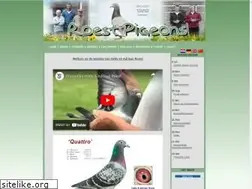 Sites similar to roestpigeons.com