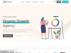 Sites similar to roible.com