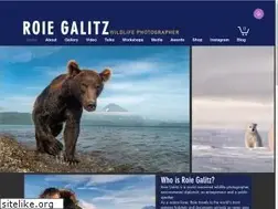 Sites similar to roiegalitz.com