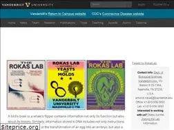 Sites similar to rokaslab.org