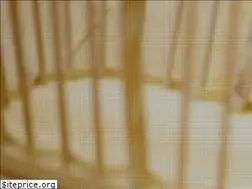 Sites similar to rokodelstvo-ribnica.si
