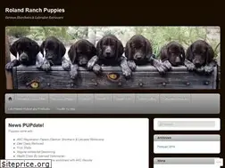 Sites similar to rolandranch.wordpress.com