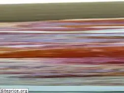 Sites similar to romapizzapastaorder.com
