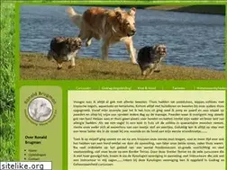 Sites similar to ronaldbrugman.nl