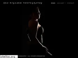 Sites similar to ronbigelow.com