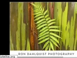 Sites similar to rondahlquist.com