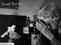 Sites similar to rondalpartridge.com