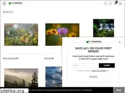 Sites similar to ronlongwell.com