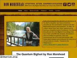 Sites similar to ronmorehead.com