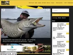 Sites similar to roofmeister.nl