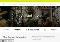 Sites similar to root-houseplants.com