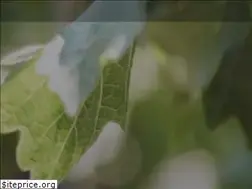 Sites similar to rootedvinetours.com