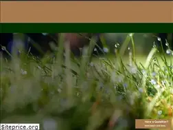 Sites similar to rootslandscapingct.com