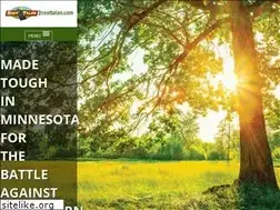 Sites similar to roottalon.com