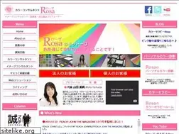Sites similar to rosacolor.com