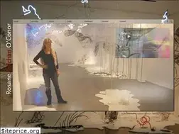 Sites similar to rosanevolchanoconor.com