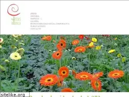 Sites similar to rosasdesevilla.com