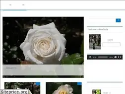 Sites similar to rose-festa.com