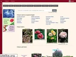 Sites similar to rosebook.ru