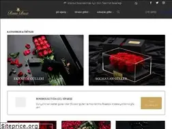 Sites similar to rosebox.com.tr