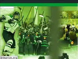Sites similar to rosemounthockey.org