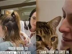Sites similar to rossu.edu