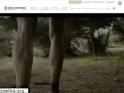 Sites similar to rotavicentina.com