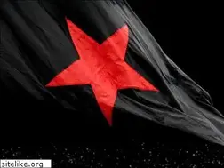 Sites similar to roter-stern-st-pauli.de