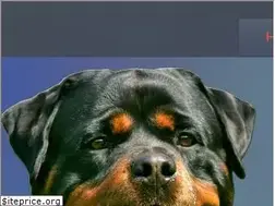 Sites similar to rottweiler-vom-koenigsforst.de