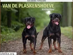 Sites similar to rottweilerkennel.be