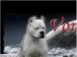 Sites similar to rottweilersvonbelmondo.com