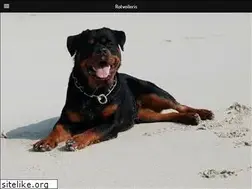 Sites similar to rotveileris.lt