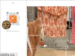Sites similar to rou-ken.com
