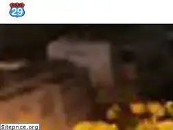 Sites similar to route29pavilion.com