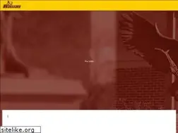 Sites similar to rowanathletics.com