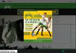 Sites similar to rowdiessoccer.com