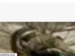 Sites similar to rowery.szczecin.pl
