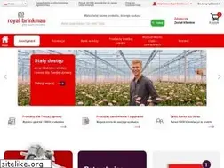 Sites similar to royalbrinkman.pl