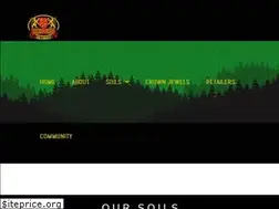Sites similar to royalgoldcoco.com