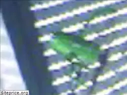 Sites similar to royalmosquitonets.com
